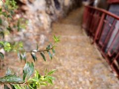-丽江束河古镇-石莲古寺