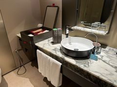 -新加坡瑞士史丹福酒店