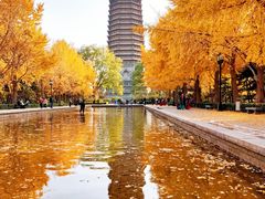 -玲珑塔公园