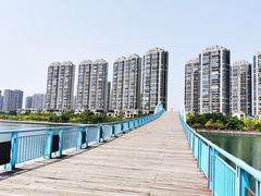 -五缘湾湿地公园