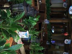android_upload_pic-润泽园椰子鸡(汇一城店)