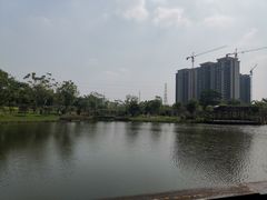 -王借岗森林公园