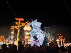 -淄博花灯齐彩城
