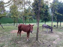 -中国天府农业博览园