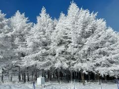 -密苑云顶乐园(云顶滑雪场)
