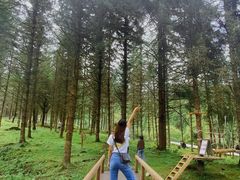 -硗碛藏寨·神木垒景区