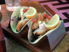 -Famous肥猫墨西哥音乐餐吧(五棵松华熙LIVE店)