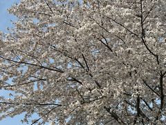 -苏州工学院(东湖校区)