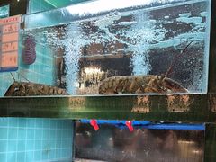 -燃燃小黄鱼(隆昌店)