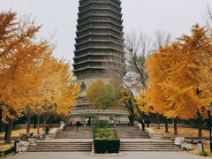 -玲珑塔公园
