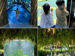 -海合安成都极地海洋公园