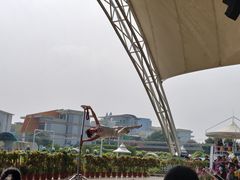 -百万葵园