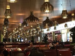 -贾特拉帕蒂·希瓦吉国际机场