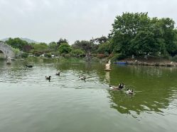 -玄武湖景区-情侣园游乐场