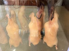 -北京烤鸭 ·儿童菜 ·采风阁家常菜餐厅(亚龙湾天域酒店)