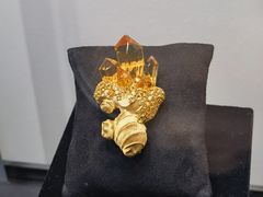 -中国地质博物馆