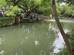 -西溪国家湿地公园