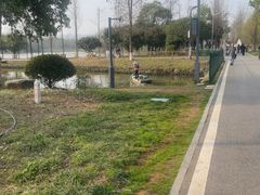 -洋湖国家湿地公园