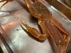 -綱元·海鲜豆捞(明州里店)