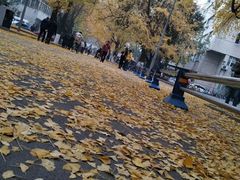 -四川大学(华西校区)