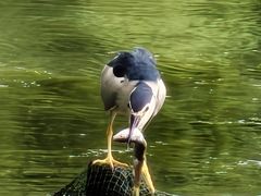 -西湖天地