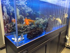 -欢聚烤吧(朱辛庄TBD万科店)