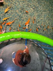 -酷嗒动物文化乐园(cutezoo西溪乐天城店)