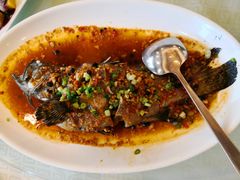 -顺峰(南二环店)