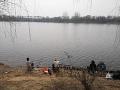 -亲兄弟真人CS团建拓展基地