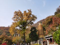 -天津盘山风景名胜区