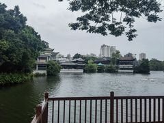 -荔湾湖公园