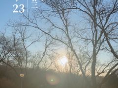 -滨河世纪广场公园