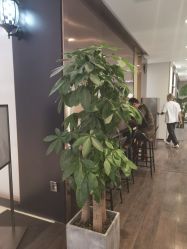 点击看大图 -崇尚GAVIN STYLE臻选