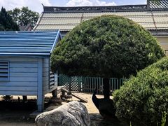 -有喜胶东小馆(太申祥和店)