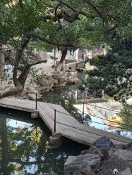 -苏州大学附属儿童医院(景德路院区)