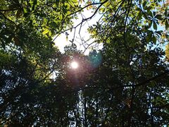 -艾薯夫妇Aysh(福田星河COCOPark店)