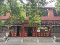 -古陶文明博物馆