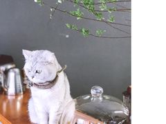 -研途咖啡馆(健康路店)