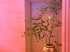 -舒小悦·舒养SPA·古法推拿(光环中心店)
