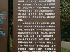 -重庆彩云湖湿地公园