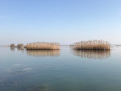 -太湖湖滨国家湿地公园-停车场