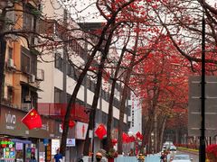 -三水森林公园