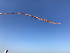 -白沙门生态公园