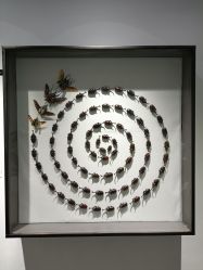 -酷嗒动物文化乐园(cutezoo西溪乐天城店)