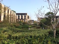 -上海崇明金茂凯悦酒店