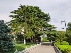 -青岛德国总督楼旧址博物馆
