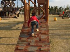 -上海长兴岛郊野公园