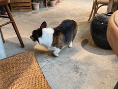-自由生长植物工作室(深港花卉中心店)