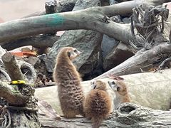 -杭州少年儿童公园
