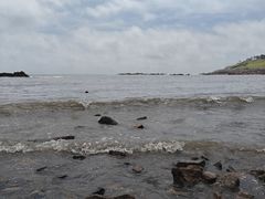 -小麦岛公园